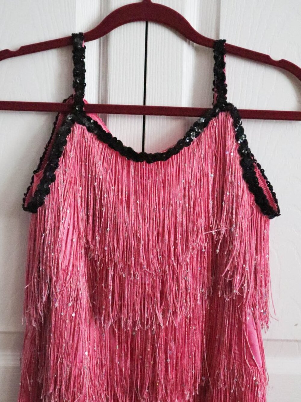 Chasing Fireflies Girls' Flapper Dress Costume Sz 12 Fringe Sequins Dolly Parton - Picture 4 of 8